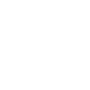 Carrot icon white