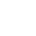 Lettuce icon white