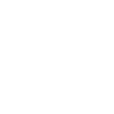 Onion icon